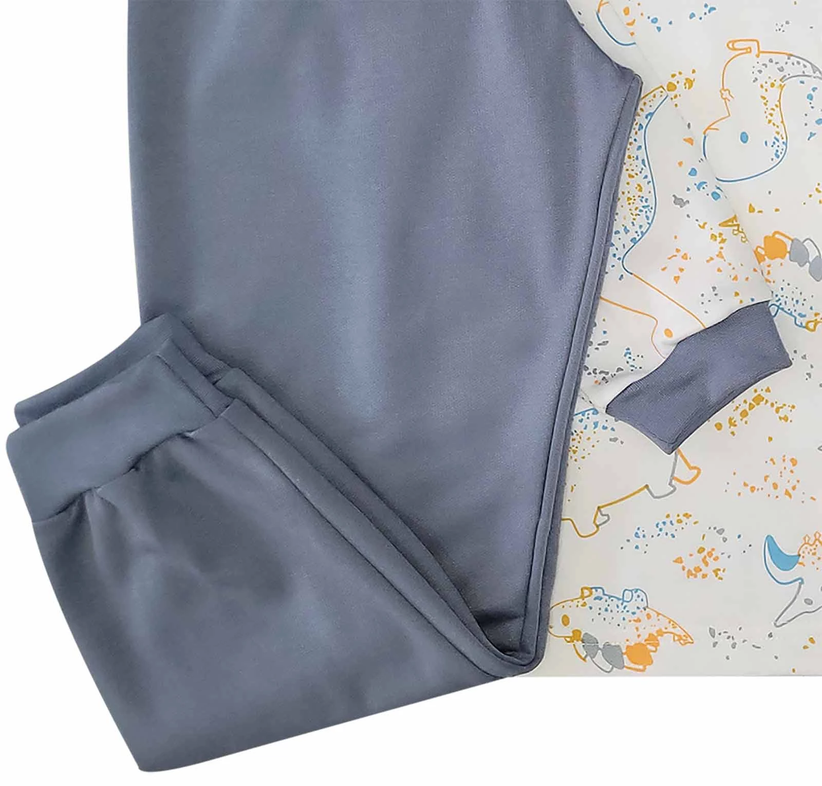Pijama Masculino Infantil Longo Rex