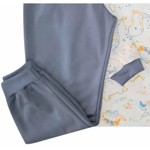 Pijama Masculino Infantil Longo Rex